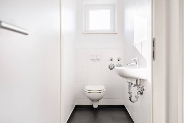 Toilet Installation and Remodel